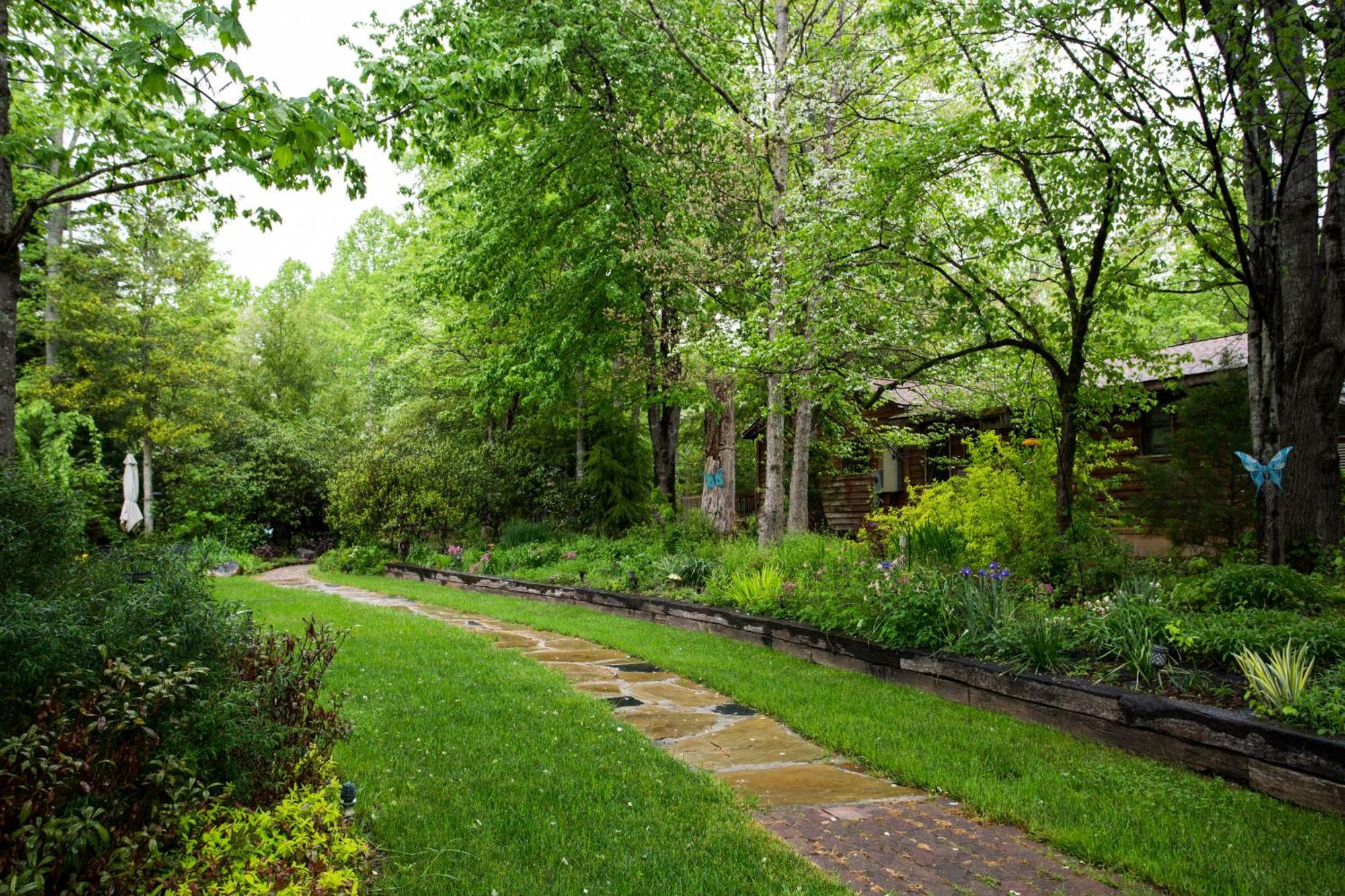 דלונגה Forrest Hills Mountain Resort מראה חיצוני תמונה