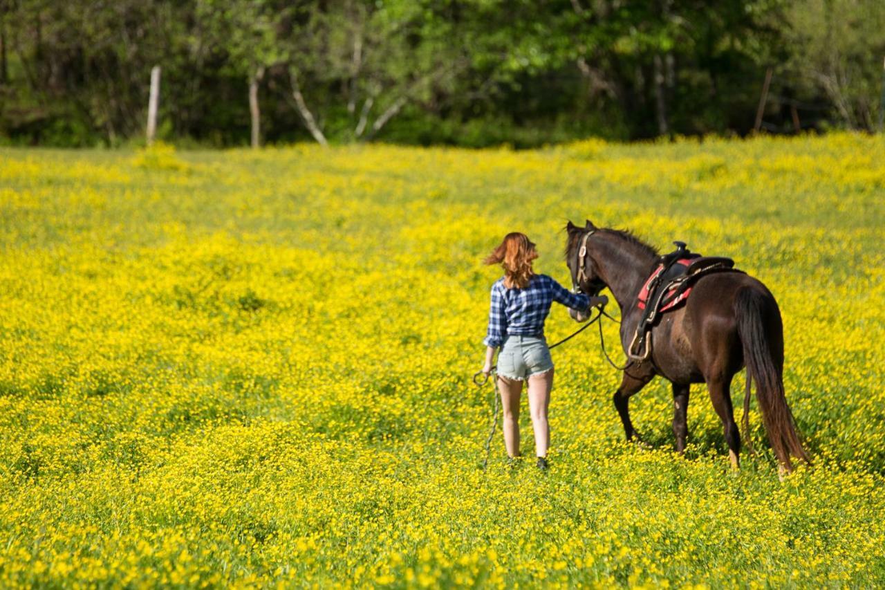 דלונגה Forrest Hills Mountain Resort מראה חיצוני תמונה